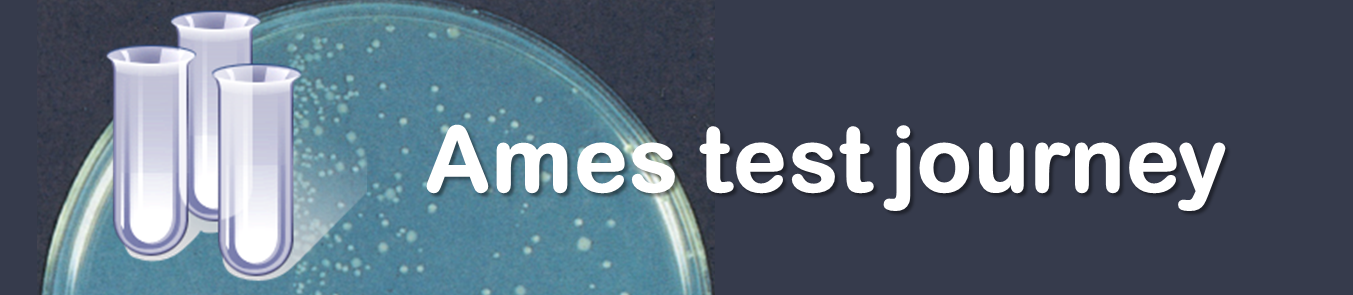 This video shows a series of procedures of the Ames test, one of the genotoxicity tests. It is designed to help beginners visualize the steps.